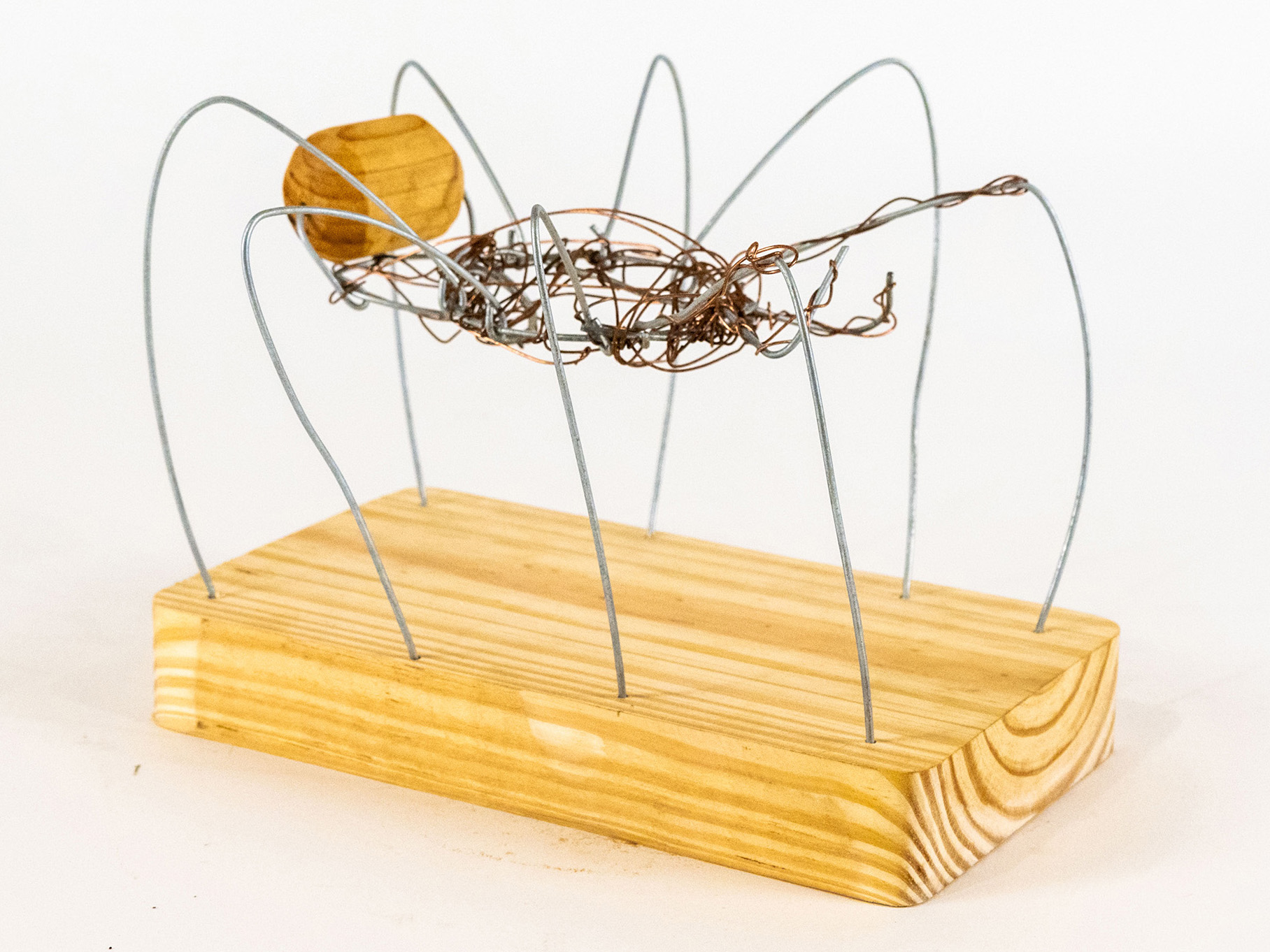 Stalking Spider by Mia Olague - Wire sculpture