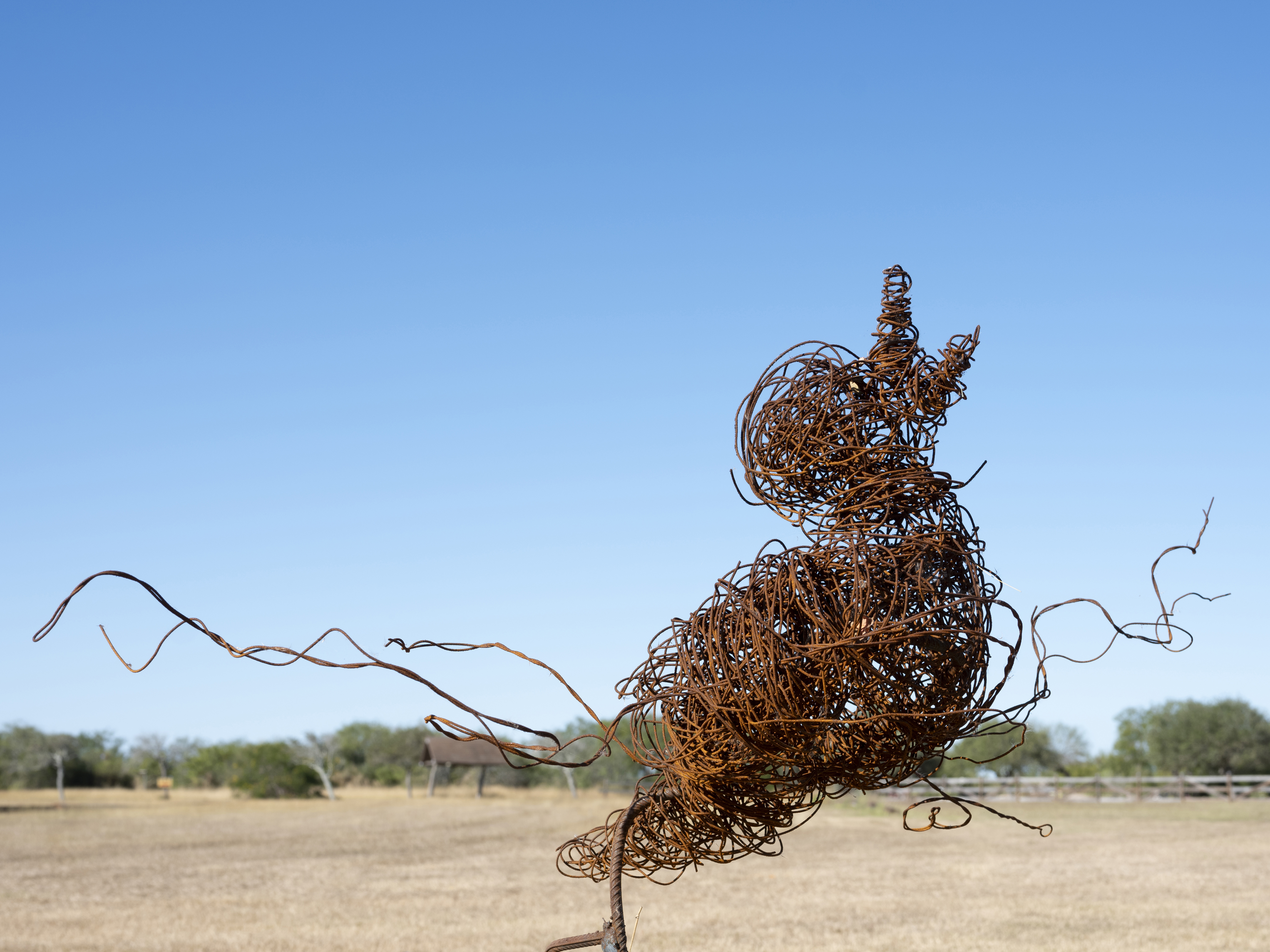Angry Duck by Ashley Jimenez - Wire sculpture made from rebar and wire tie