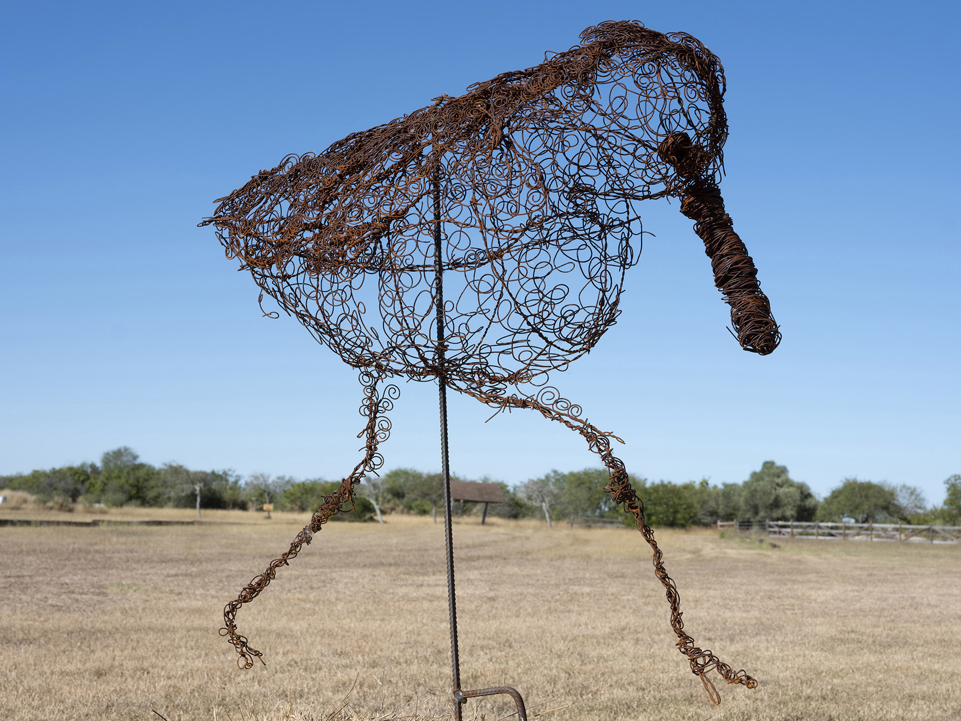 Frenchie, The Sandpiper by Erick Garcia - Wire sculpture made from rebar and wire tie