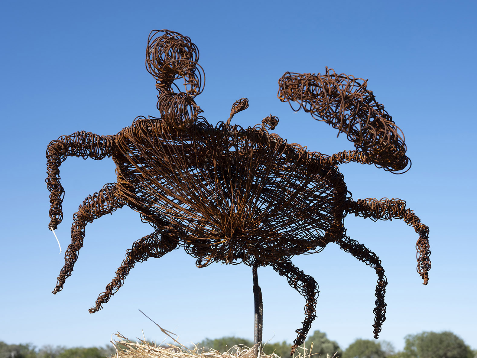 Rusty Crab by Timothy Carreon - Wire sculpture made from rebar and wire tie