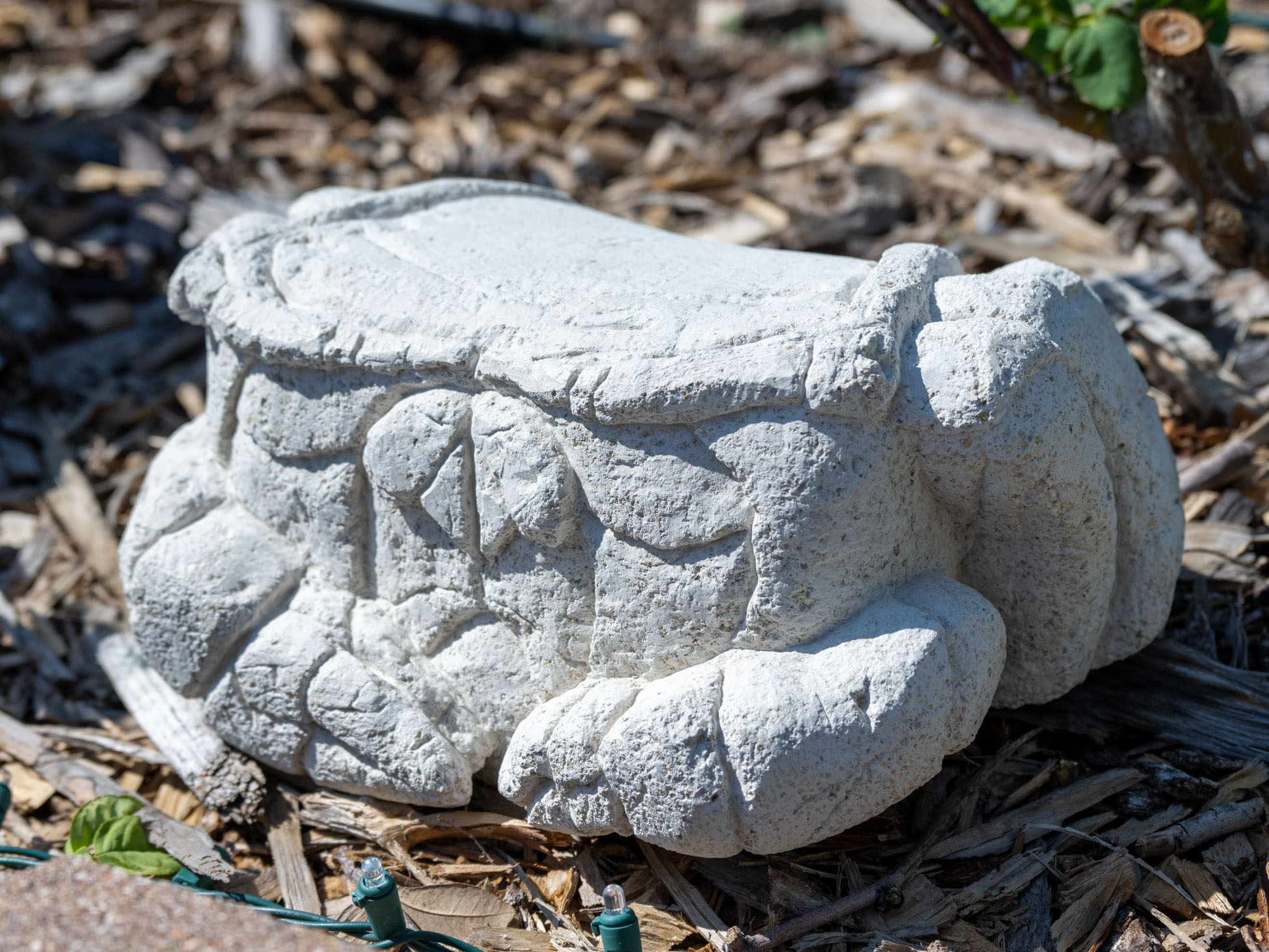 Encased by Yazmin Ortiz Colon — Cement and Vermiculite