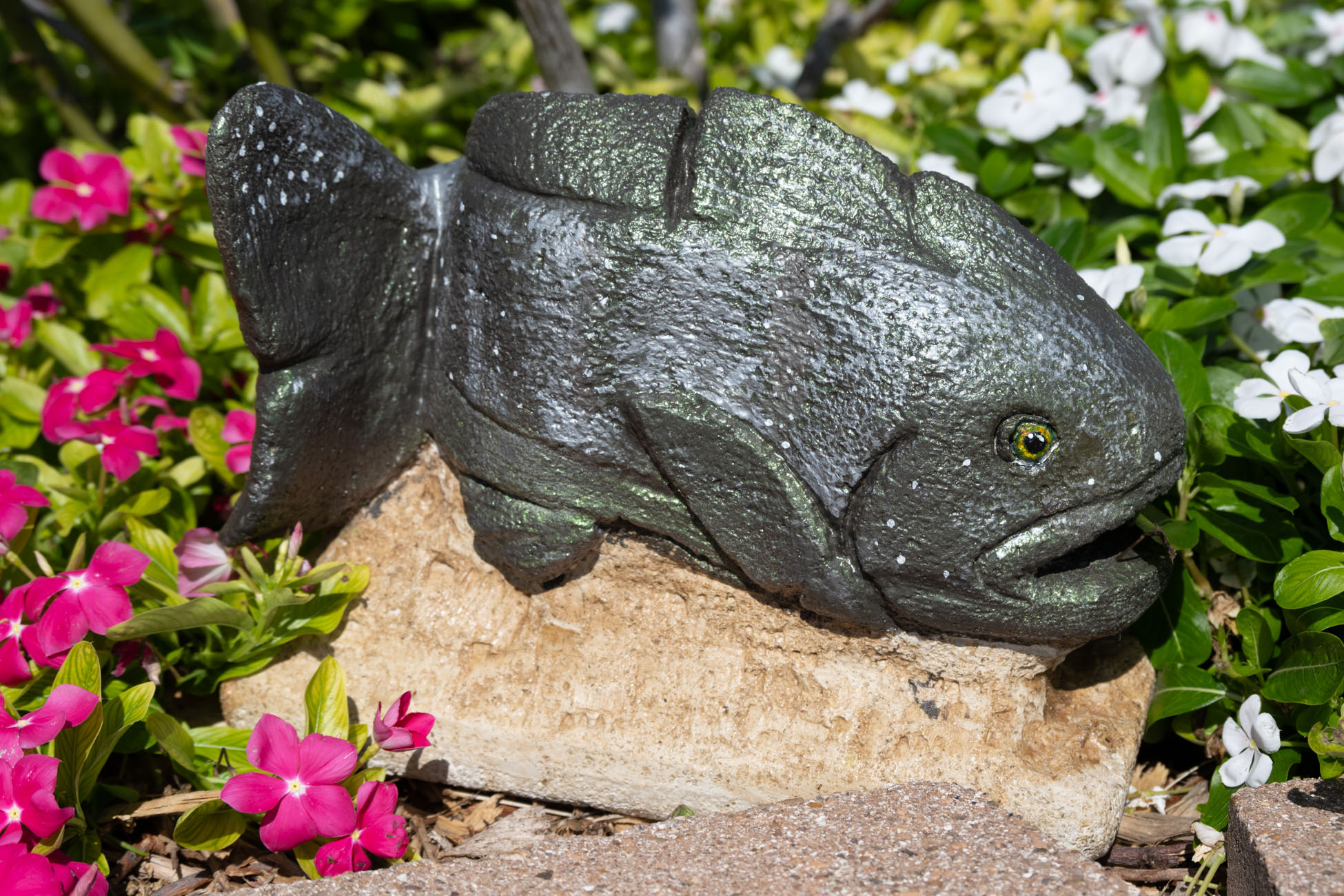 Fresh Catch by Alexandria Uresti — Cement and Vermiculite