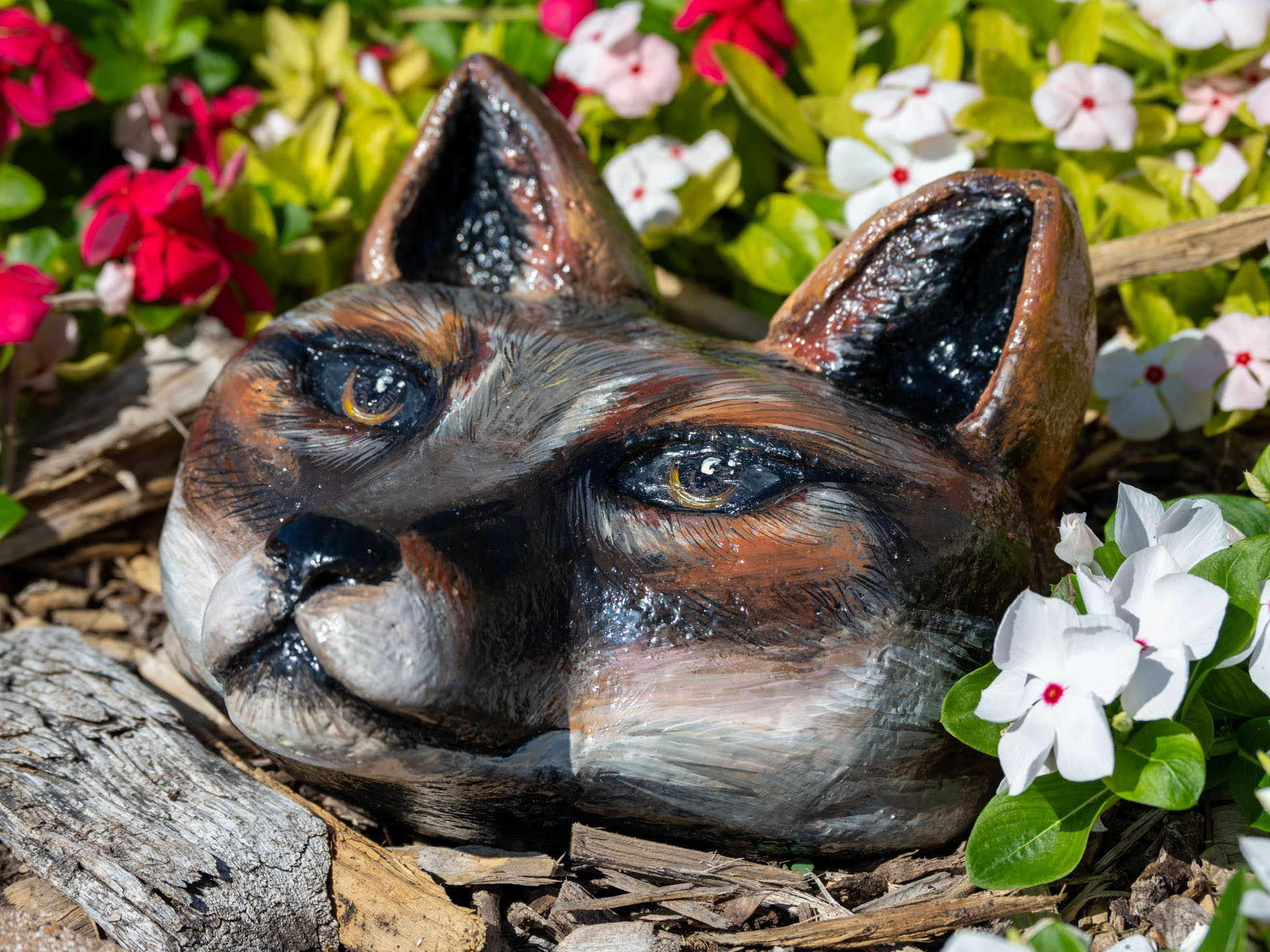 “What Does The Fox Say?” by Daisy Cerda — Cement and Vermiculite