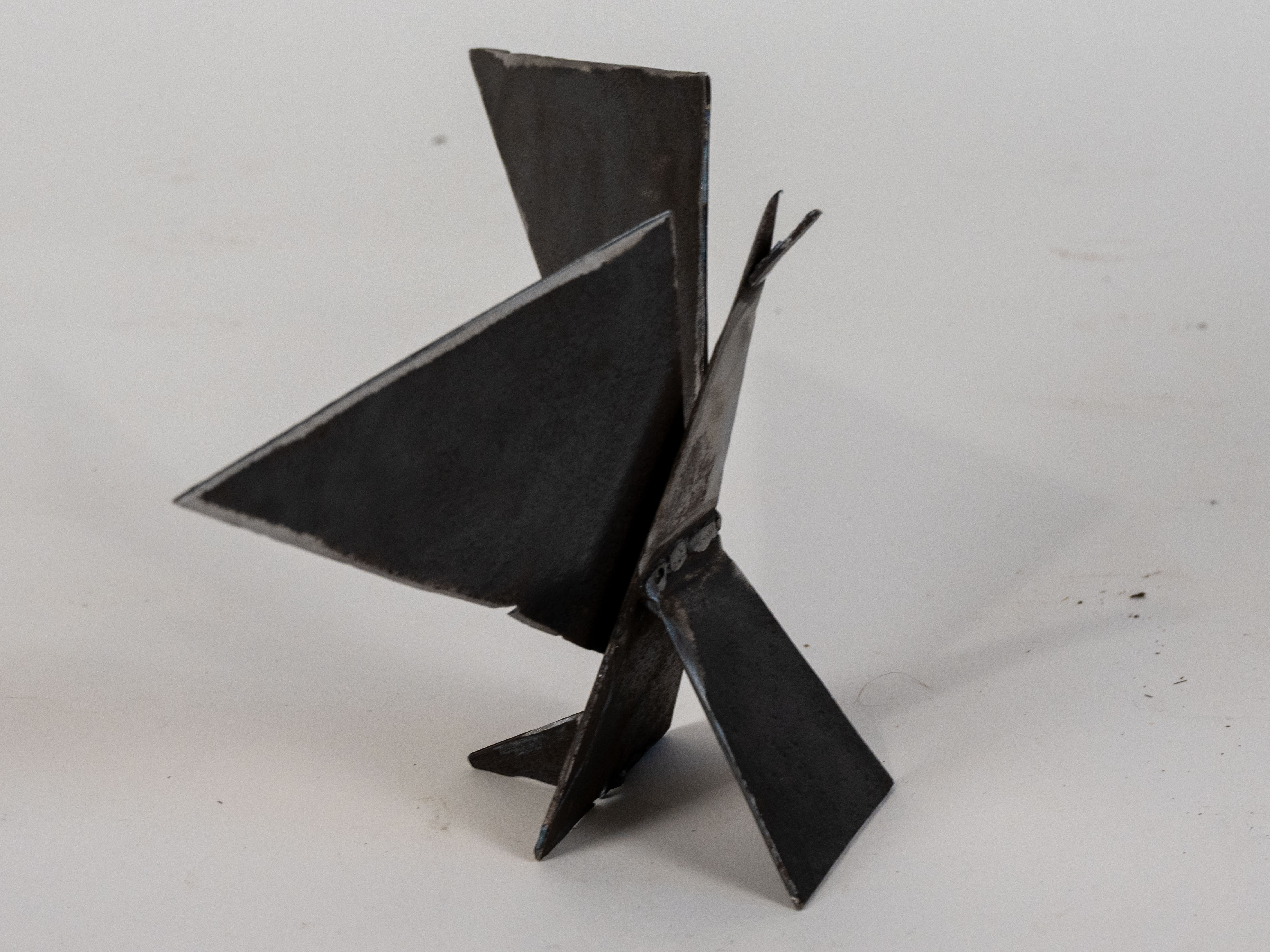 Taking flight by Alex Uresti