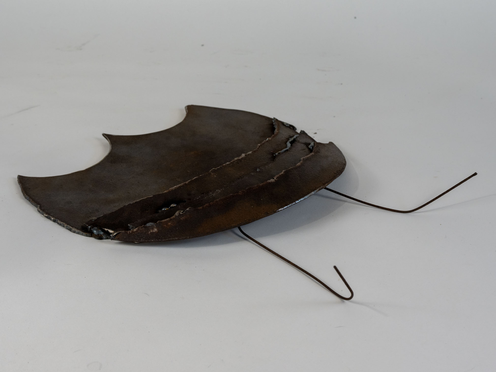 Wannabe Isopod by Alex Moya - Metal sculpture